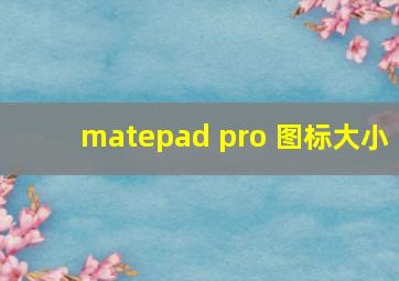 matepad pro 图标大小